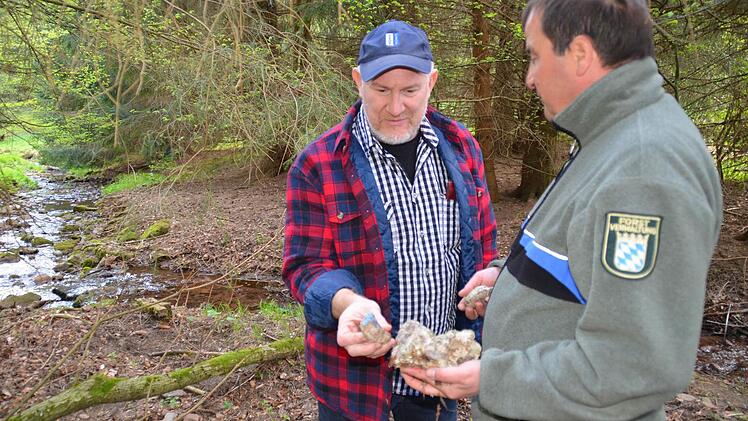 Förster Joachim Dahmer und Kreisheimatpfleger Christian Neugebauer finden an der ehemaligen Glashütte an der Aschach mehrere Steine mit Glasschlacke. Foto: Kathrin Kupka-Hahn