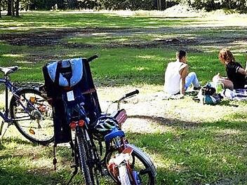 Beim Fahrradausflug an den Dechsendorfer Weiher herrschte bestes Wetter. So konnten alle gemeinsam das Picknick genie&szlig;en.  Fotos: privat