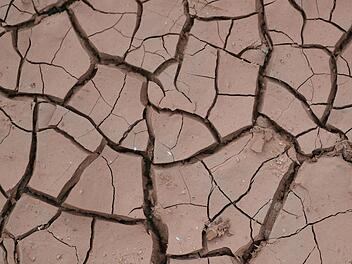 Die Trockenheit in Franken hält weiter an. Der "Wetterochs" prognostiziert für die kommende Woche: kein Regen bis Donnerstag oder Freitag. Symbolfoto: Patrick Seeger/dpa