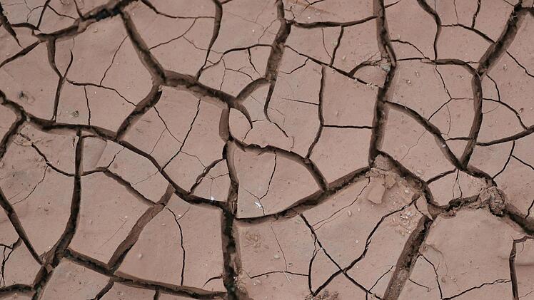 Die Trockenheit in Franken hält weiter an. Der "Wetterochs" prognostiziert für die kommende Woche: kein Regen bis Donnerstag oder Freitag. Symbolfoto: Patrick Seeger/dpa