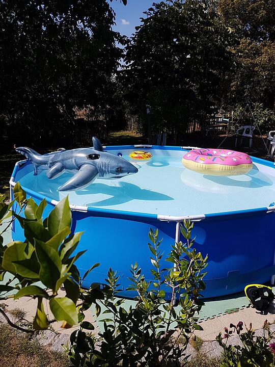 Sommer in Franken: Die schönsten Fotos aus Haßfurt und Umgebung