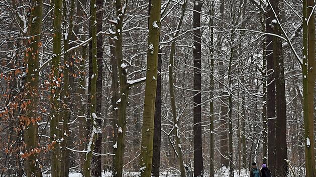 Winterwetter in Deutschland - Hannover