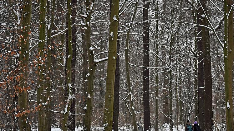 Winterwetter in Deutschland - Hannover
