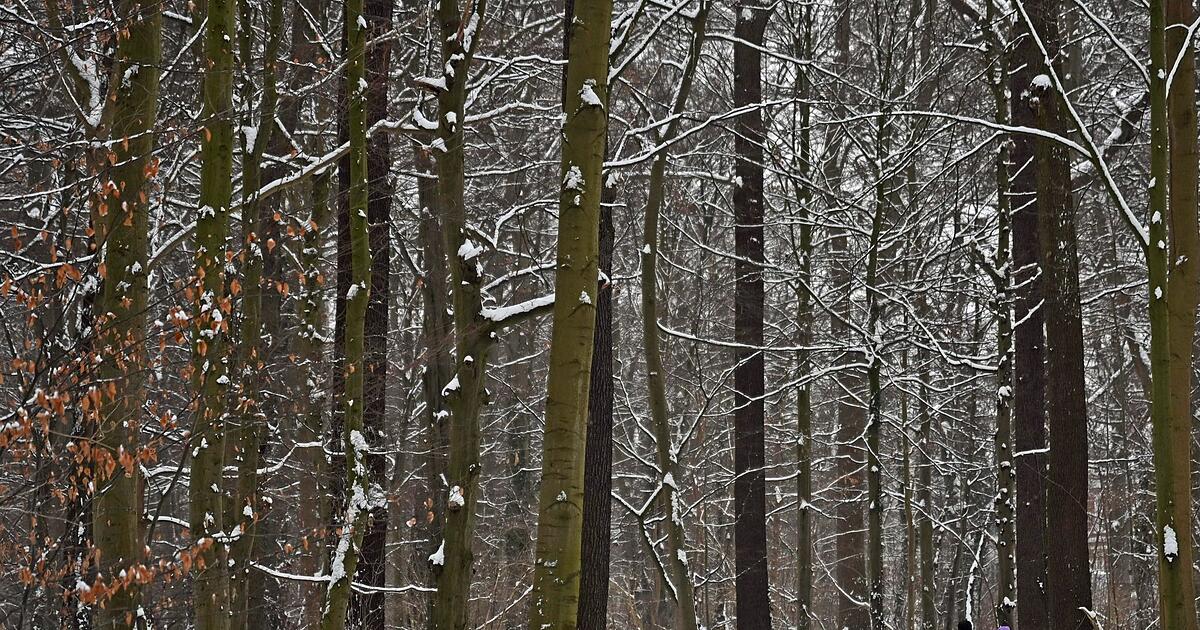 Schnee-Regen-und-dann-gebietsweise-etwas-Sonne