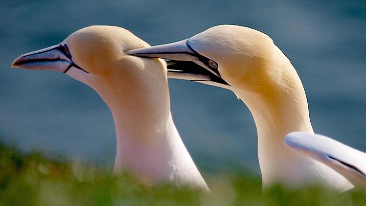 Aus der Ausstellung bei "Kronach leuchtet"