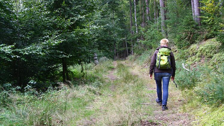 Die Frankenwald-Steigla sind so angelegt, dass sich auf ihnen die schönsten Seiten des Frankenwalds erleben lassen.  Foto: Katrin Geyer