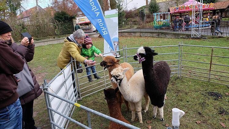 Impressionen von der Thundorfer Dorfweihnacht. Foto: Philipp Bauernschubert