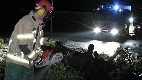 Die Feuerwehr begann bereits in der Nacht mit den Aufräumarbeiten. Umgestürzte Bäume und abgebrochene Äste wurden beseitigt.