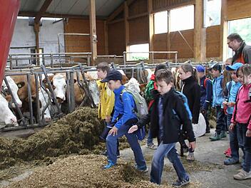 Bei ihrem Besuch auf dem Bauernhof durften die Grundschüler auch beim Füttern der Kühe dabei sein.  Fotos: Gerda Völk