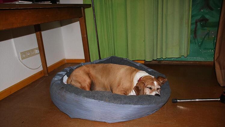 Eindrücke von der Podiumsdiskussion in Stengenroth. Foto: Ralf Ruppert