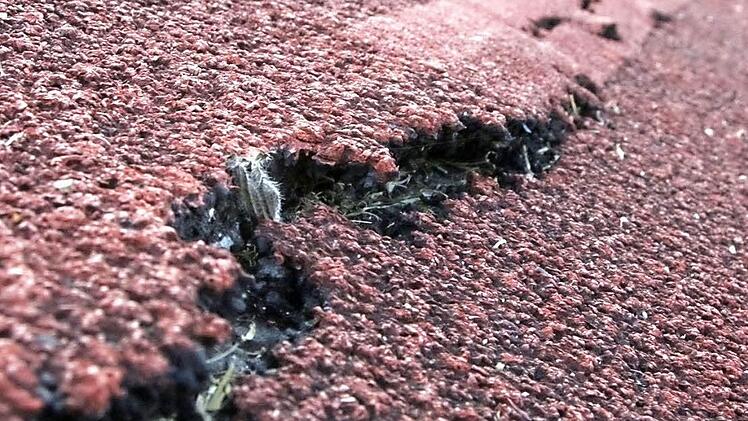 Der Belag der Tartanbahn weist tiefe Risse auf. Sportveranstaltungen sind hier unmöglich geworden.  Fotos: Josef Hofbauer