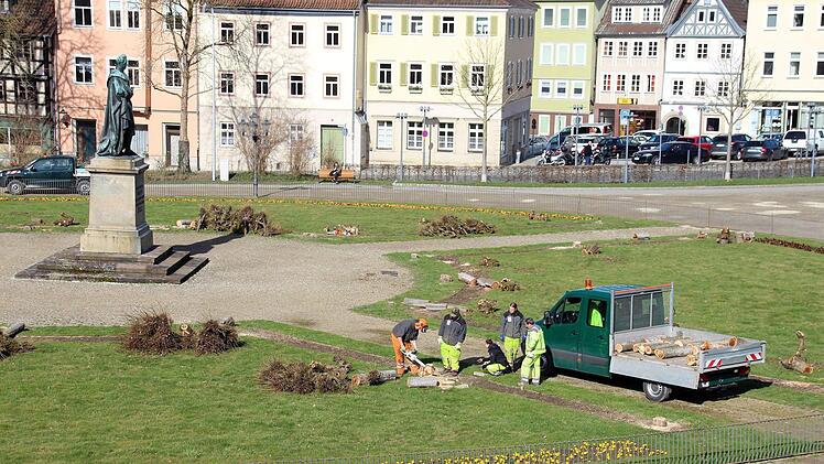 Die 28 Bäume werden gefällt (Foto: uso)