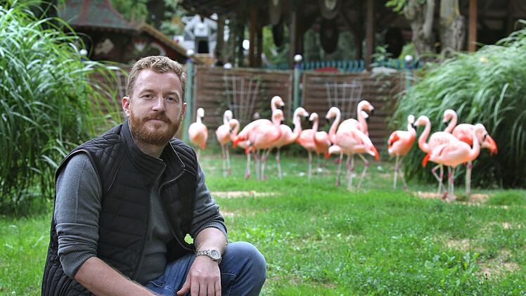 Parkbetreiber Matthias Mölter sitzt im Freizeit-Land Geiselwind vor seinem Flamingo-Gehege. Vor Kurzem sind fünf Flamingos verschwunden. Doch im Hochsommer werden allgemein viele Sachen aus Freizeitparks oder Zoos gestohlen. Tassen, Besteck oder Vögel stehen hoch im Kurs Foto: Karl-Josef Hildenbrand/dpa