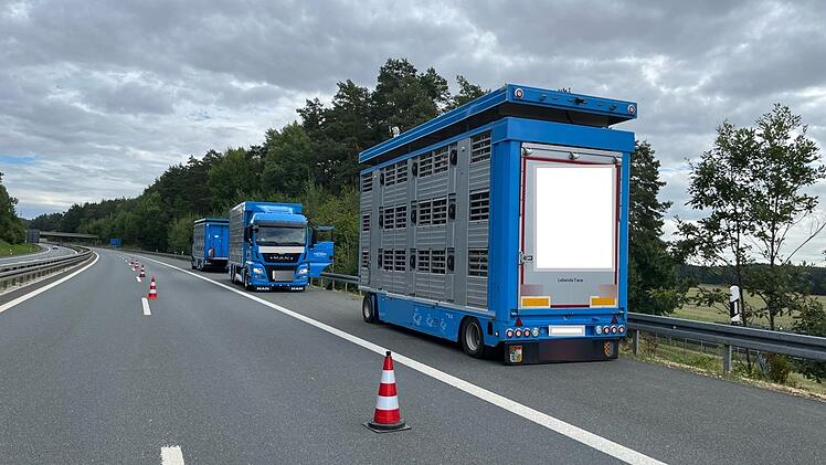 A70 bei Stadelhofen: Schweinetransporter hat Panne auf Fahrbahn