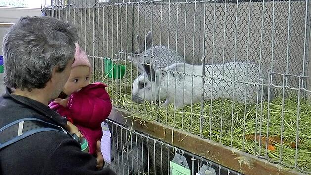 Auch f&uuml;r die kleinen Besucher war die Lokalschau des Kleintierzuchtvereins Reckendorf ein besonderes Ereignis. Fotos: Christian Licha
