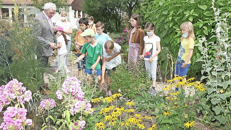 Im museumseigenen Garten erfuhren die Kinder, wofür (Heil-)Kräuter und Blüten verwendet werden können.