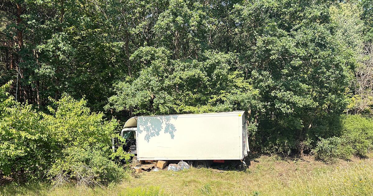Unfall mit Reh auf B286 im Kreis Schweinfurt: Lkw-Fahrer schwer verletzt