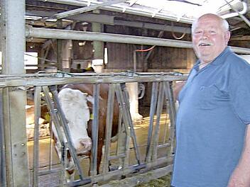 Seniorchef Hermann Tauber liegt das Wohlergehen seiner Kühe am Herzen.  Fotos: Petra Malbrich