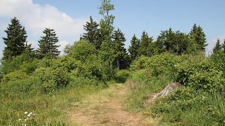 Foto: Ulrike Müller