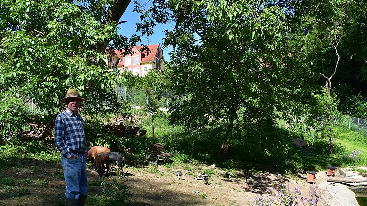 Alfons Trautner bei seinen Tieren Foto: Petra Malbrich