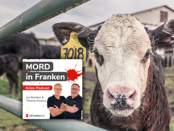 Eine Kuh, die einen Mord aufklärt