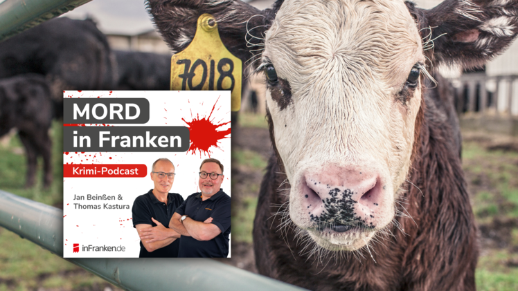 Eine Kuh, die einen Mord aufklärt