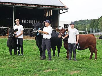 Die Sieger stellten zu Hause ihre Tiere zur Schau. Im Bild (von links) Jungzüchterin Alisa Greim mit schwarzem Angusrind, Helfer Leon ebenfalls mit Angusrind, Biobauer Michael Greim mit dem Bullen, Jungzüchter Lukas Achner mit rotem Angusrind und ...