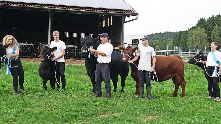 Die Sieger stellten zu Hause ihre Tiere zur Schau. Im Bild (von links) Jungzüchterin Alisa Greim mit schwarzem Angusrind, Helfer Leon ebenfalls mit Angusrind, Biobauer Michael Greim mit dem Bullen, Jungzüchter Lukas Achner mit rotem Angusrind und ...