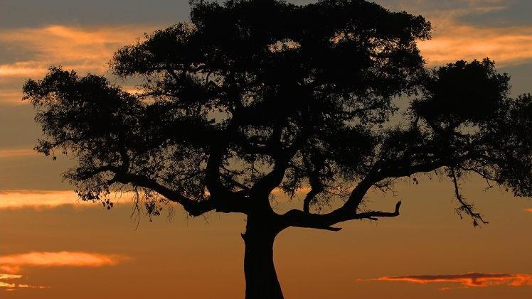 Sonnenuntergang in der Masai Mara. Günther Schneider