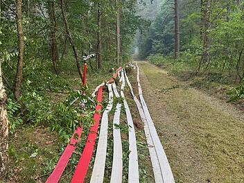 Feuerwehr Bamberg hilft durch neue Ausr&uuml;stung: Einsatz bei Waldbrand
