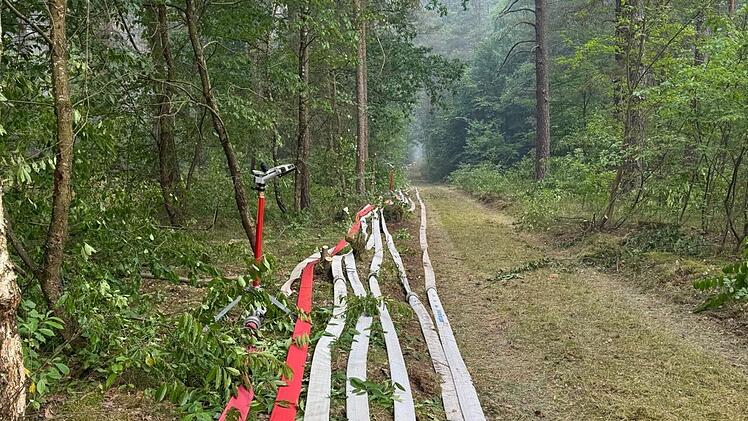 Feuerwehr Bamberg hilft durch neue Ausr&uuml;stung: Einsatz bei Waldbrand