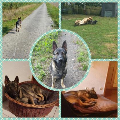 Foto: Katharina Ganter