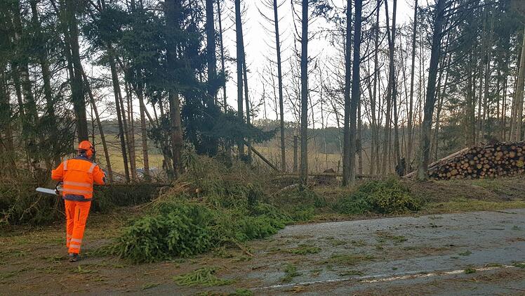 Auf der CO 27 bei Rottenbach lag ein Baum auf der Straße. - Foto: Landkreis Coburg