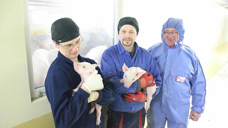 Marina und Reiner Herr mit zwei Wochen alten Ferkeln. Im Hintergrund links die trächtigen Mutterschweine. BBV-Kreisobmann Erwin Schwarz (rechts) musste als Betriebsfremder einen Schutzoverall tragen, aber nicht um sich, sondern die Tiere vor Keimen zu schützen. Foto: Friedwald Schedel