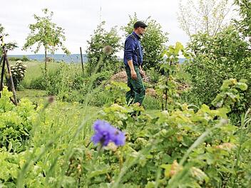Biologe Michael Hauck bei einem Rundgang durch den Kolpinggarten in Haßfurt: Hier wachsen und gedeihen rund 300 Pflanzenarten. Fotos: Andreas Lösch