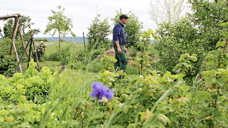 Biologe Michael Hauck bei einem Rundgang durch den Kolpinggarten in Haßfurt: Hier wachsen und gedeihen rund 300 Pflanzenarten. Fotos: Andreas Lösch