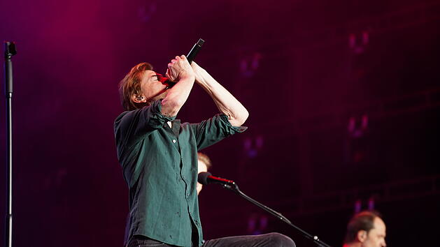 Die Toten Hosen bei Rock im Park