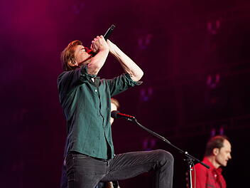 Die Toten Hosen bei Rock im Park