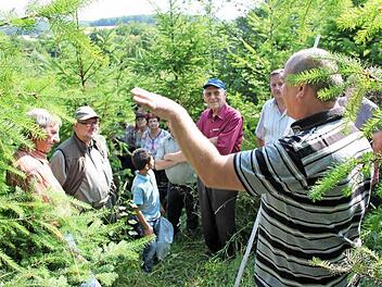 Eine neue Aufforstung bei Kirchlauter stellte Betriebsleiter Bernhard Schmitt beim Waldgang im Sommner vor.