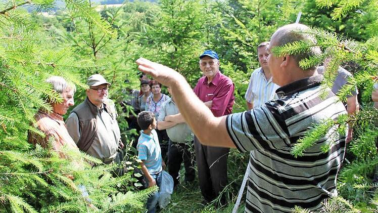 Eine neue Aufforstung bei Kirchlauter stellte Betriebsleiter Bernhard Schmitt beim Waldgang im Sommner vor.