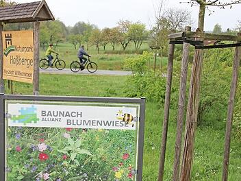 Zu den Blumenwiesen der Baunach-Allianz kommen nun welche der lokalen Leader-Projektgruppe. Wie hier in Baunach kommt auch noch ein Radfahrer-Paradies hinzu. Auch Kirchlauter will nicht hintan stehen, auch wenn für die eigene Streuobstwiese auf eine Leader-Förderungen verzichtet wurde, da die Planungs- und Vorbereitungskosten den Aufwand unnatürlich in die Höhe getrieben hätten. Foto: Ralf Kestel