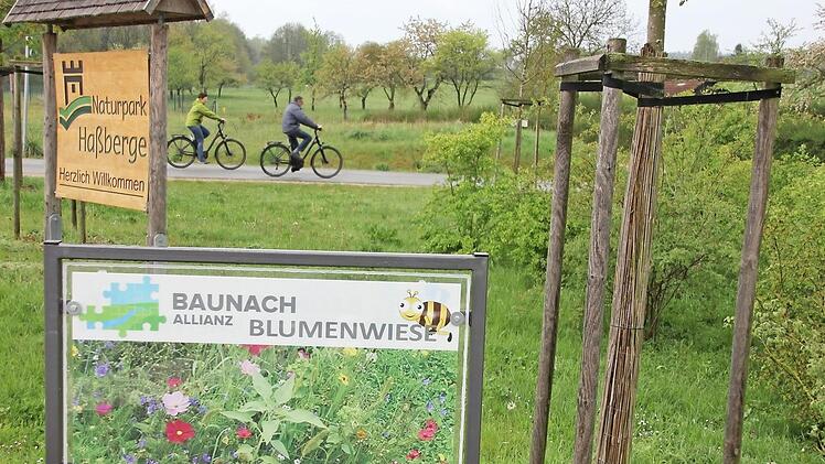 Zu den Blumenwiesen der Baunach-Allianz kommen nun welche der lokalen Leader-Projektgruppe. Wie hier in Baunach kommt auch noch ein Radfahrer-Paradies hinzu. Auch Kirchlauter will nicht hintan stehen, auch wenn für die eigene Streuobstwiese auf eine Leader-Förderungen verzichtet wurde, da die Planungs- und Vorbereitungskosten den Aufwand unnatürlich in die Höhe getrieben hätten. Foto: Ralf Kestel