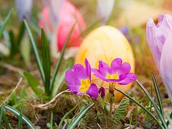 Ostern steht vor der Türe. Foto: Pixabay