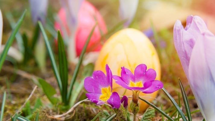 Ostern steht vor der Türe. Foto: Pixabay