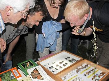 Beschaulich. Die Schaukästen mit den Insekten waren ein echter Hingucker und von den Exkursionsteilnehmern umringt.  Fotos: Markus Häggberg