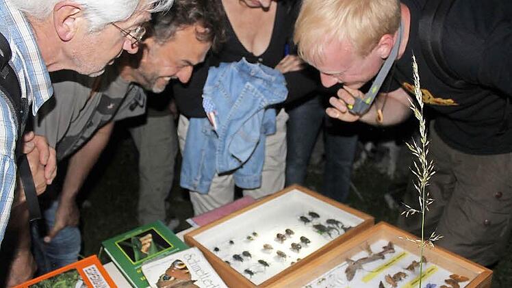 Beschaulich. Die Schaukästen mit den Insekten waren ein echter Hingucker und von den Exkursionsteilnehmern umringt.  Fotos: Markus Häggberg