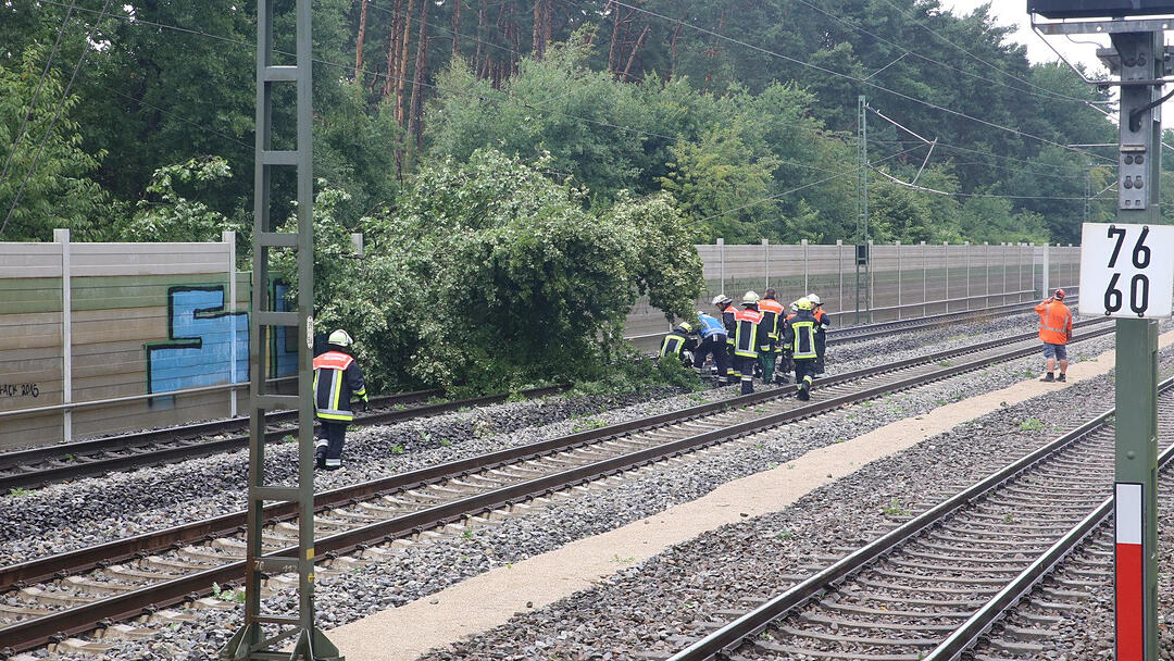 Gewitter über Mittelfranken haben Bäume umstürzen lassen. Im Landkreis Roth war eine Bahnstrecke zeitweise lahmgelegt.
