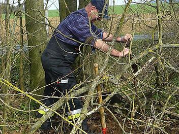 Alle Mühen umsonst: Hier wurden schon vor geraumer Zeit Teile einer landwirtschaftlichen Maschine entsorgt. Die muss nun der Rugendorfer Bauhof bergen. Benno Bauß schaffte es nicht, die zugewucherten Teile aus dem Unterholz zu ziehen. Fotos: Klaus-Peter Wulf