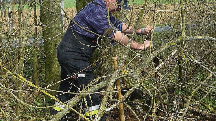 Alle Mühen umsonst: Hier wurden schon vor geraumer Zeit Teile einer landwirtschaftlichen Maschine entsorgt. Die muss nun der Rugendorfer Bauhof bergen. Benno Bauß schaffte es nicht, die zugewucherten Teile aus dem Unterholz zu ziehen. Fotos: Klaus-Peter Wulf