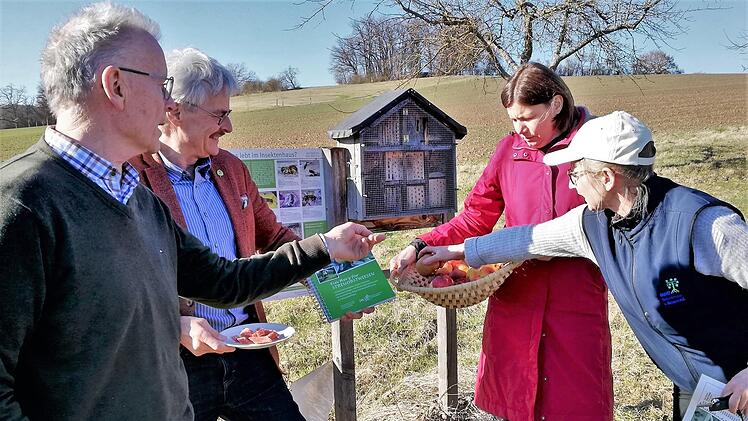 Wissenswertes über heimische Apfelsorten erfuhr Staatssekretärin Dr. Manuel Rottmann (zweite von rechts) beim Besuch der Streuobstwiese in Untererthal von Franz Zang (Kreisvorsitzender Bund Naturschutz), Richard Mergner (BN-Landesvorsitzender) und Elisabeth Assmann (Büroleiterin BN-Kreisverband)